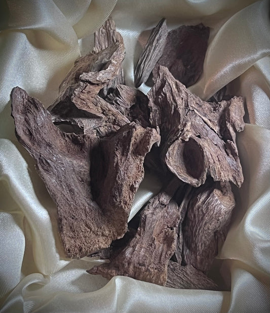 Malaccensis Ant-Nest (Selection II)