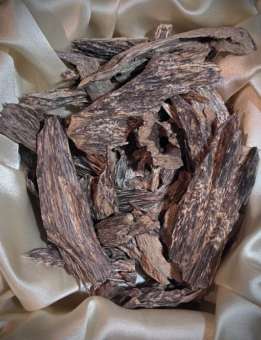 Malaccensis Ant-Nest (Selection I)